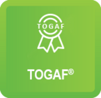 TOGAF Practitioner