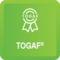 TOGAF Practitioner