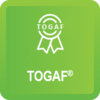 TOGAF Practitioner