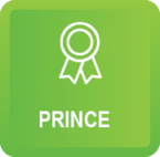 PRINCE Practitioner