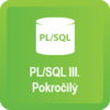 Oracle PL/SQL III. Pokročilý