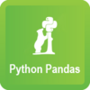 Python Pandas